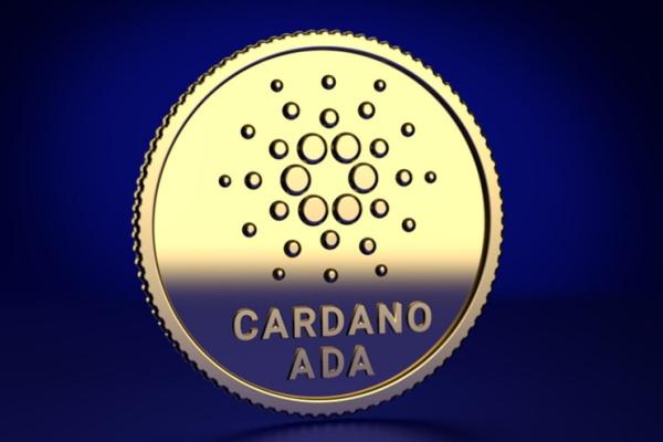 Will Cardano Reach $100 : The Reason Why Ada Will Hit 10 000 And Much Higher Trading Cardano Forum : What is a cardano ada stake pool?