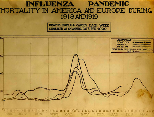 Daily deaths per 1000 people during the Spanish Flu 