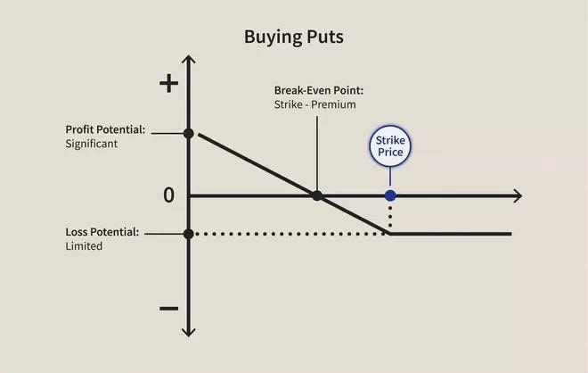 Graph for buying puts