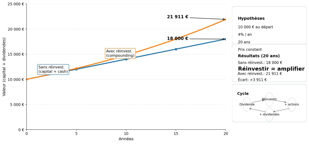Image illustrant le concept de compounding des distributions (réinvestissement) sur le long terme