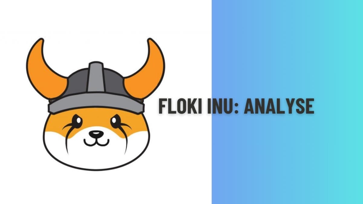 Cours de Floki - analyse