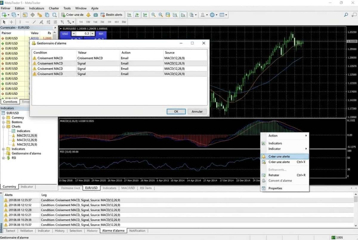 Interface gestionnaire d'alarme MetaTrader 5 avec paramètres