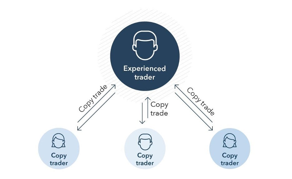 One experienced trader and several copy traders