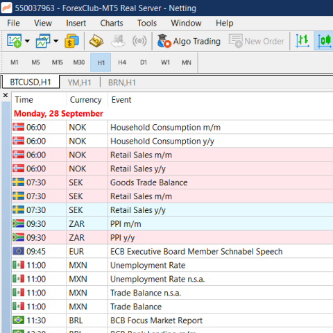MT5 application screenshot