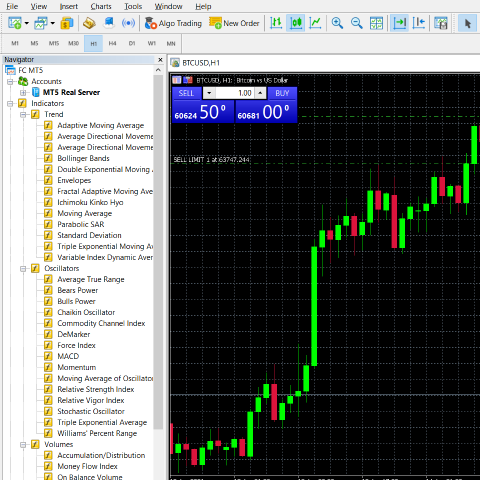 MT5 application screenshot