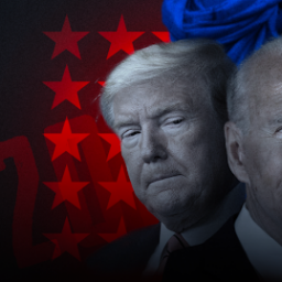 The 2020 US Presidential Election. Two Scenarios, Two Strategies
