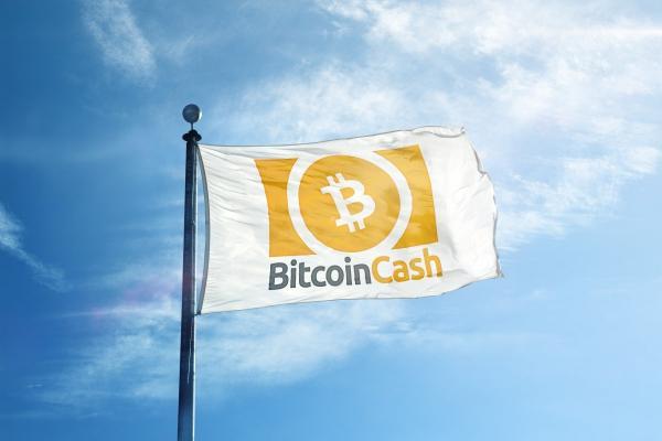 Bitcoin Cash logo