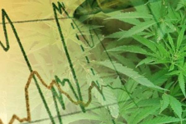 Stocks prices of cannabis producers are going down