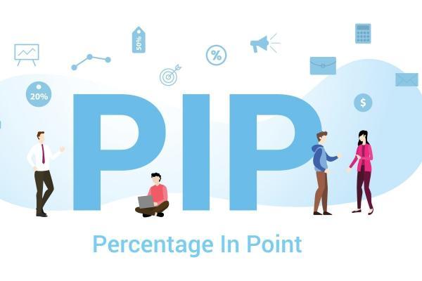 What Is a Pip 