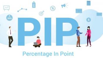 What Is a Pip 