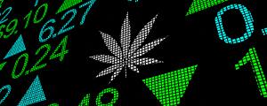 Gehen Cannabis-Aktien in Rauch auf? Werden Sie nicht paranoid
