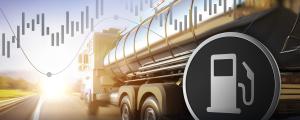 Oil slips to local low