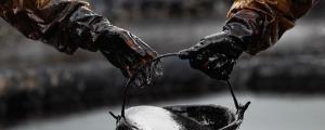 Olie in opmars tijdens overvloed aan bullish nieuws