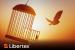 liberation_day